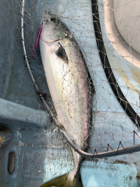 あみや渡船 JIGBOY 釣果