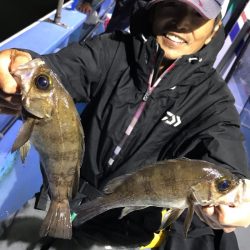 ヤザワ渡船 釣果