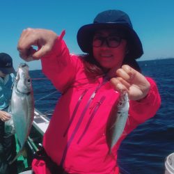 金沢八景鴨下丸 釣果