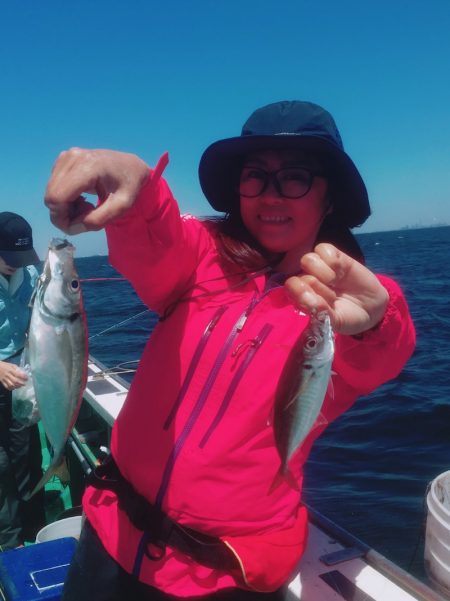 金沢八景鴨下丸 釣果