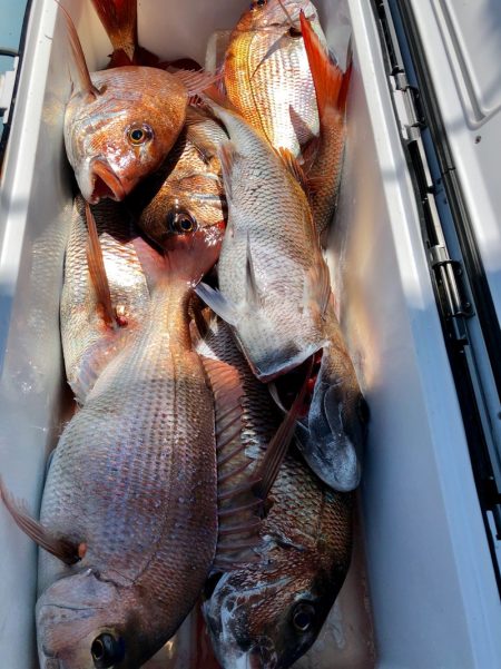 第二八坂丸 釣果