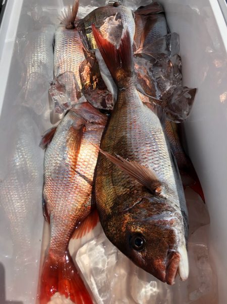 第二八坂丸 釣果