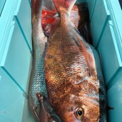 第二八坂丸 釣果