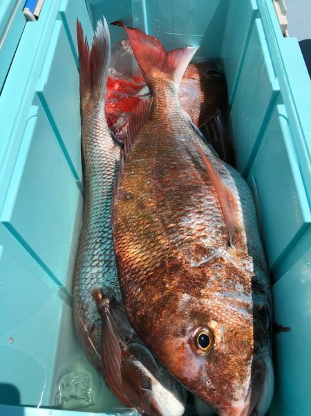 第二八坂丸 釣果