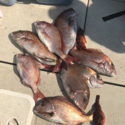 遊漁船メテオ 釣果