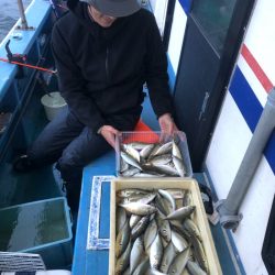 ヤザワ渡船 釣果