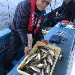 ヤザワ渡船 釣果