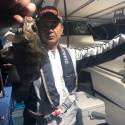 ヤザワ渡船 釣果