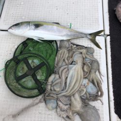 エムズジャーク（M’s JERK） 釣果