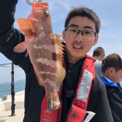 遊漁船メテオ 釣果