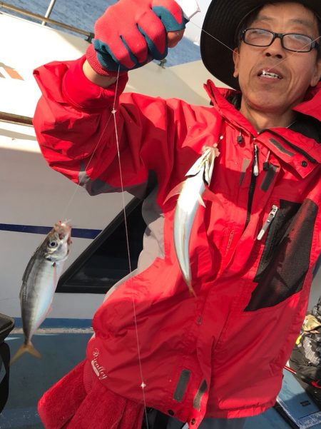 ヤザワ渡船 釣果