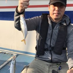 ヤザワ渡船 釣果