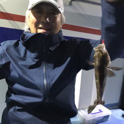 ヤザワ渡船 釣果