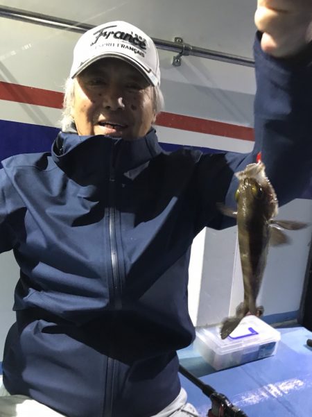 ヤザワ渡船 釣果