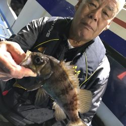 ヤザワ渡船 釣果