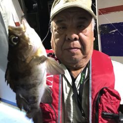 ヤザワ渡船 釣果