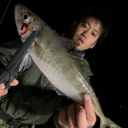 エヌスタイル 釣果