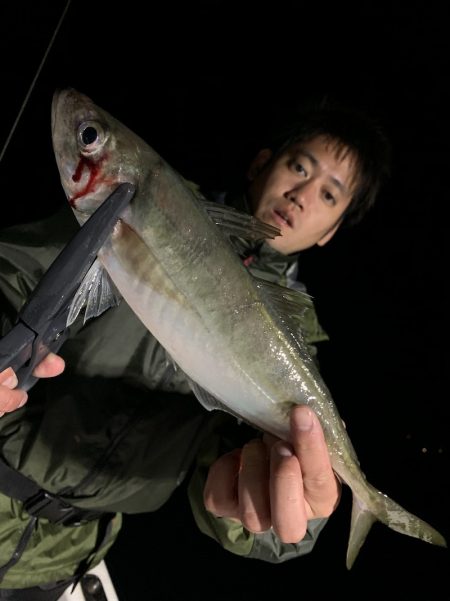 エヌスタイル 釣果