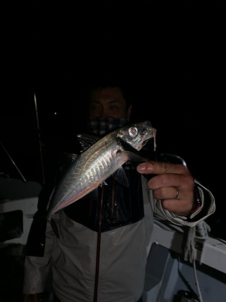 エヌスタイル 釣果