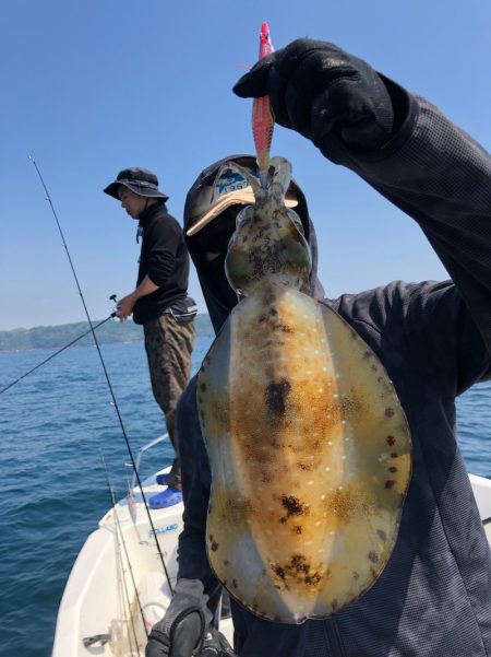 「LaGooN」蒼陽丸 日和号 釣果