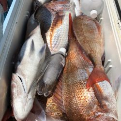 第二八坂丸 釣果