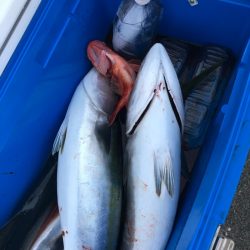 あみや渡船 JIGBOY 釣果