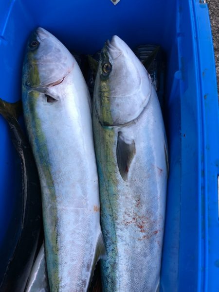 あみや渡船 JIGBOY 釣果