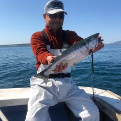 第二 つれたか丸 釣果