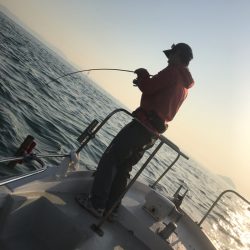 遊漁船メテオ 釣果