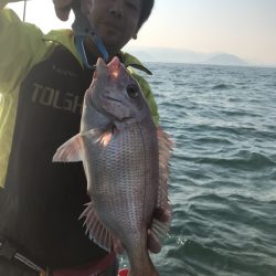 遊漁船メテオ 釣果