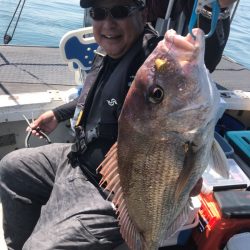 遊漁船メテオ 釣果