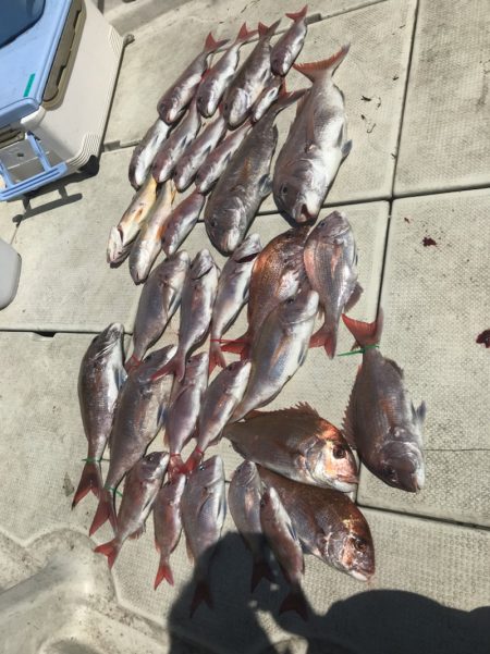 遊漁船メテオ 釣果