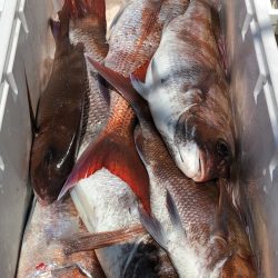 第二八坂丸 釣果