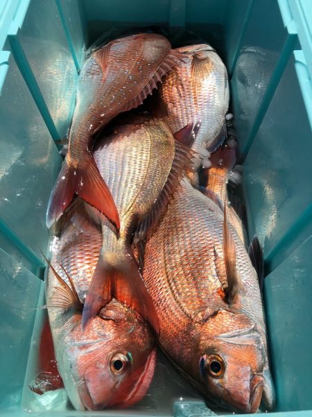 第二八坂丸 釣果