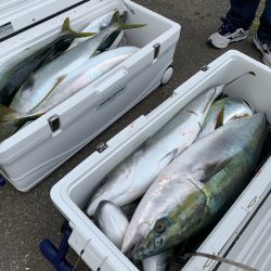 エヌスタイル 釣果