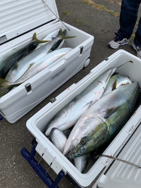 エヌスタイル 釣果