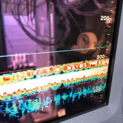 ＴＡＲＯＭＡＲＵ 釣果