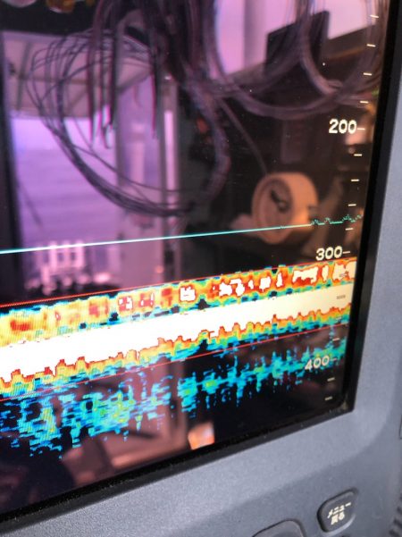 ＴＡＲＯＭＡＲＵ 釣果