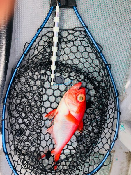 ＴＡＲＯＭＡＲＵ 釣果