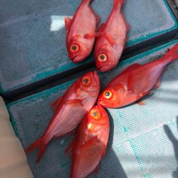 ＴＡＲＯＭＡＲＵ 釣果