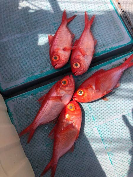 ＴＡＲＯＭＡＲＵ 釣果