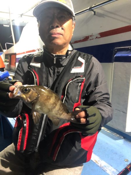 ヤザワ渡船 釣果