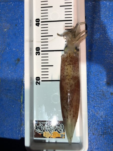 海龍丸(石川) 釣果