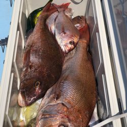 第二八坂丸 釣果