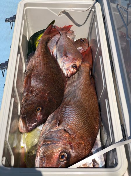 第二八坂丸 釣果