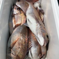 第二八坂丸 釣果