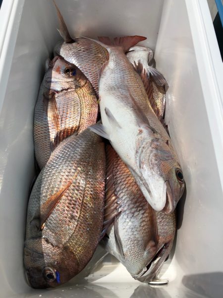 第二八坂丸 釣果