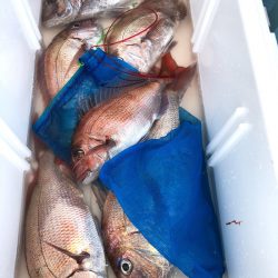 第二八坂丸 釣果