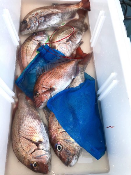 第二八坂丸 釣果