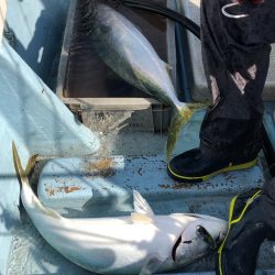 あみや渡船 JIGBOY 釣果